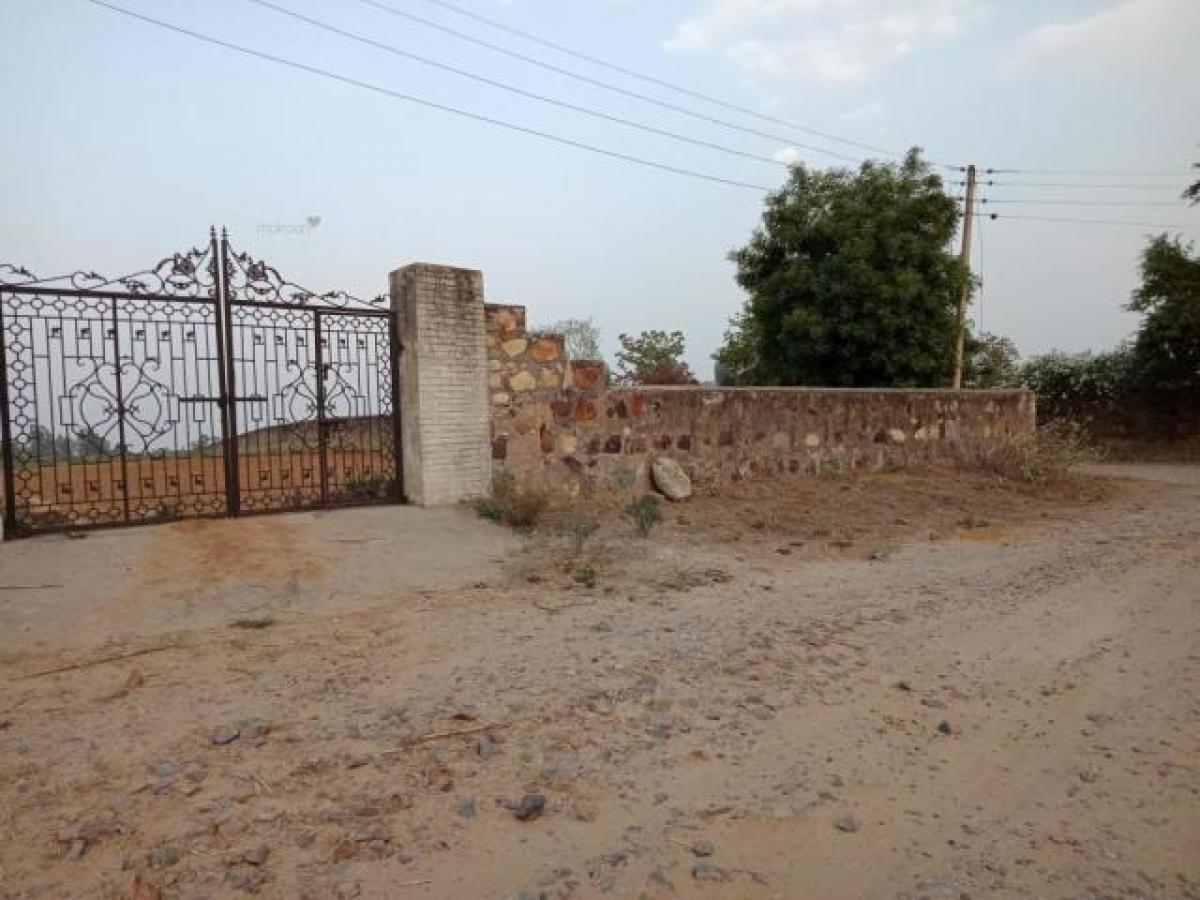 Terrain à Gurgaon, India No. 34533