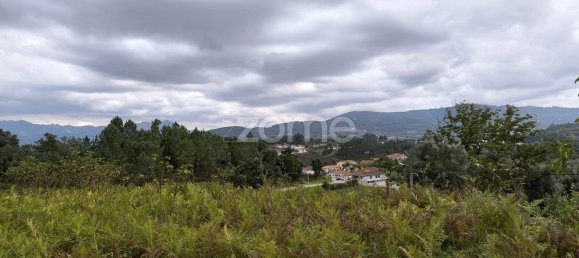 1 Schlafzimmer Haus in Cabeceiras de Basto, Portugal, Nr. 14363 37
