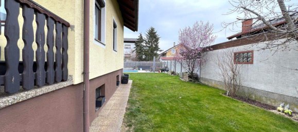 Casa de 5 habitaciónes en Ganserndorf, Austria No. 159335 4