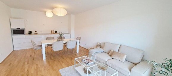 4 rooms Commercial property in Deutsch-Wagram, Austria No. 82277 3