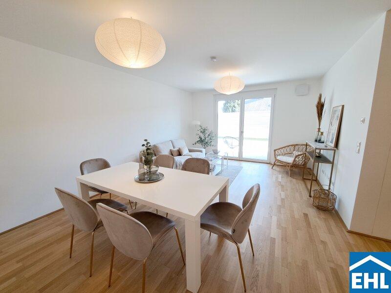 4 rooms Commercial property in Deutsch-Wagram, Austria No. 82277