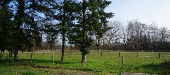 11غرفة تاون هاوس في Ludwigslust-Parchim, Germany رقم 353286 11