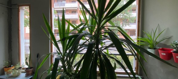 3-Zimmer Wohnung in Melegnano, Italy, Nr. 89865 12