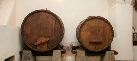 Вилла с 25 комнатами в Монтале, Италия № 263867 76