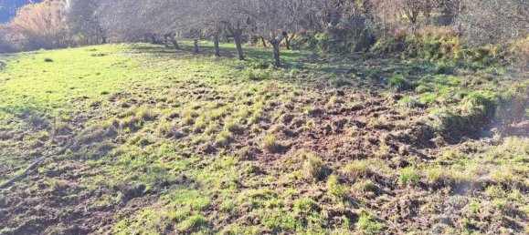 2 bedrooms House in Mulazzo, Italy No. 349437 8