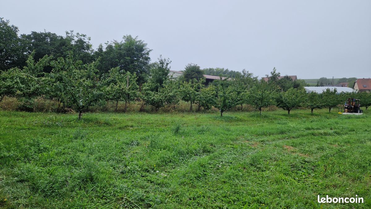 Terreno em Ebersheim, France 529 m² N.º 42466