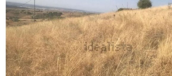  قطعة أرض في El Molar, Spain 11237متر مربع رقم 80207 2