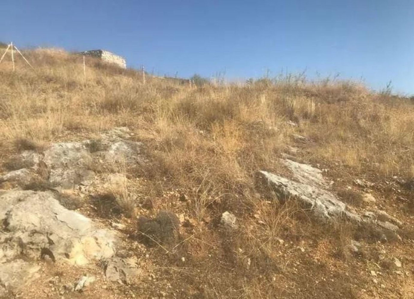  قطعة أرض في El Molar, Spain 11237متر مربع رقم 80207