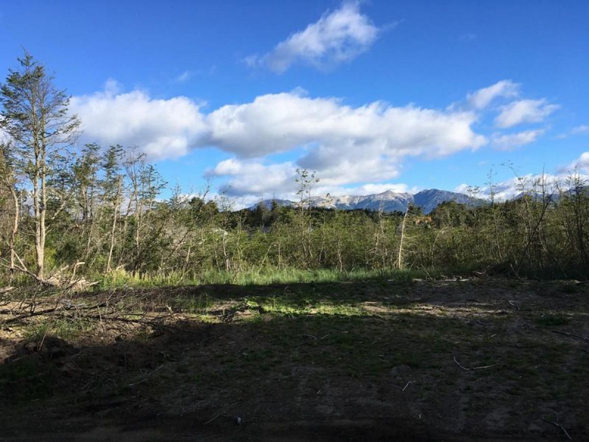  قطعة أرض في Neuquen, Argentina رقم 31750