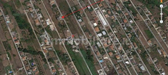 9 chambres Appartement à Ardea, Italy No. 102549 20