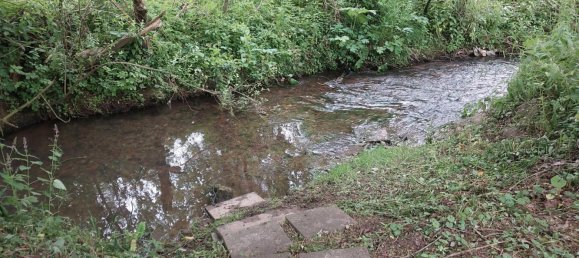 Gewerbliche Immobilie in Schwalm-Eder, Germany 3000m², Nr. 277005 8