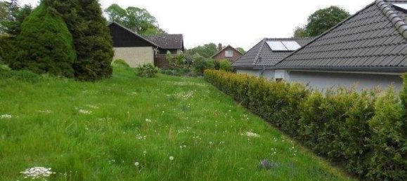  قطعة أرض في Stormarn, Germany رقم 363619 2