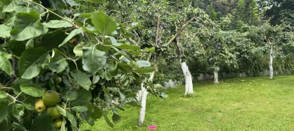 20غرفة مزرعة في Dithmarschen, Germany رقم 328825 24