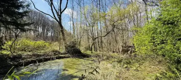 Casa de 4 divisões em Schleswig-Flensburg, Germany N.º 336042 26