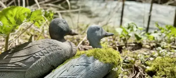 Casa de 4 divisões em Schleswig-Flensburg, Germany N.º 336042 27