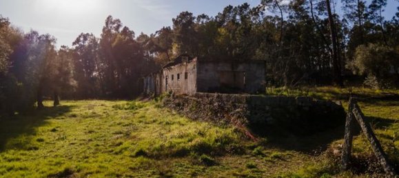 12 bedrooms House in Coucieiro, Portugal No. 85550 11