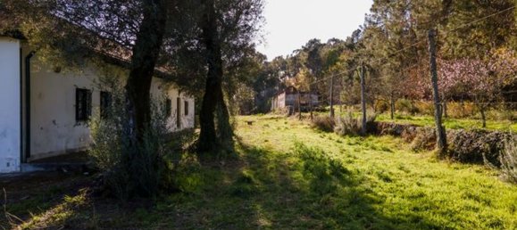 12 bedrooms House in Coucieiro, Portugal No. 85550 7