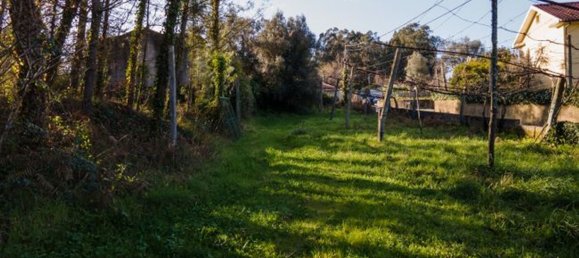 12 bedrooms House in Coucieiro, Portugal No. 85550 16