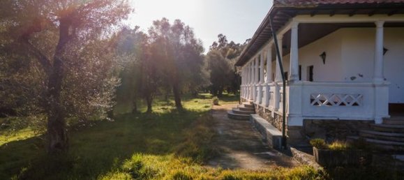 12 bedrooms House in Coucieiro, Portugal No. 85550 8