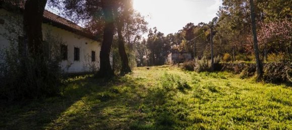 12 bedrooms House in Coucieiro, Portugal No. 85550 19