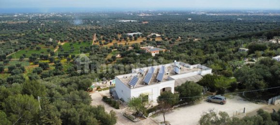 13 غرف نوم منزل في Monopoli, Italy رقم 106330 6