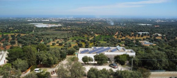 13 غرف نوم منزل في Monopoli, Italy رقم 106330 3