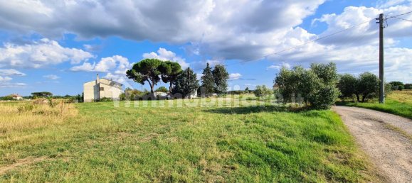 Вилла с 4 спальнями в Кортона, Италия № 148393 30