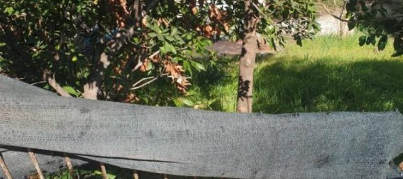 3-Zimmer Wohnung in Santa Marinella, Italy, Nr. 29608 32