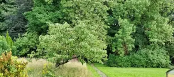 2 Schlafzimmer Haus in Bremen, Germany, Nr. 312731 2