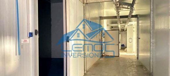 2911m² Warehouse in Leon, Spain No. 25791 12