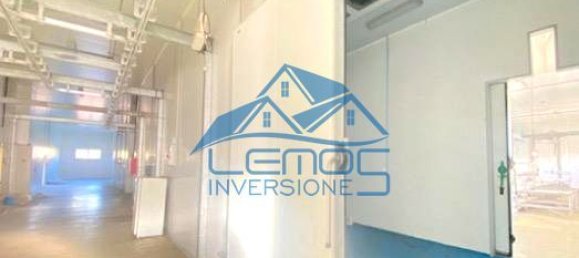 2911m² Warehouse in Leon, Spain No. 25791 5