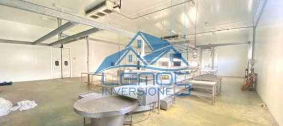 2911m² Warehouse in Leon, Spain No. 25791 17