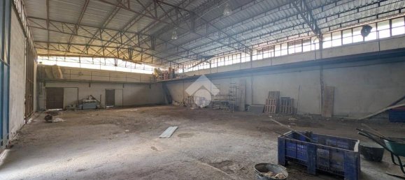 Lagerhaus in San Felice a Cancello, Italy 690m², Nr. 343001 19