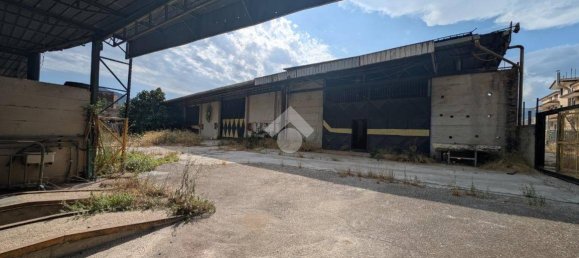 Lagerhaus in San Felice a Cancello, Italy 690m², Nr. 343001 9