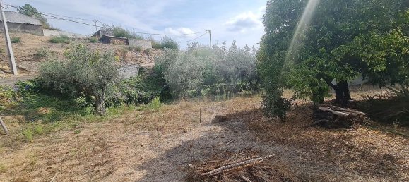 6 bedrooms House in Macao, Portugal No. 30367 35