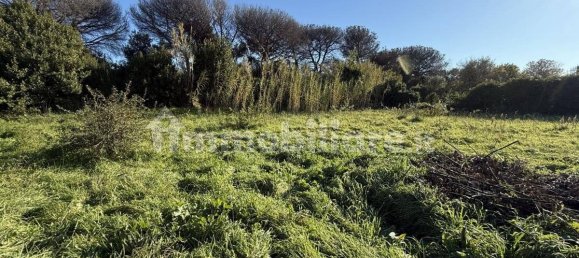 1486m² Land in Rome, Italy No. 173904 16