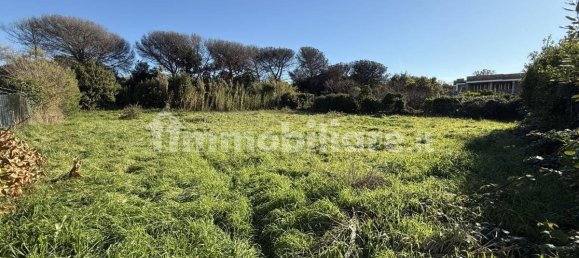 1486m² Land in Rome, Italy No. 173904 4