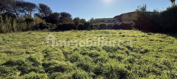 1486m² Land in Rome, Italy No. 173904 18