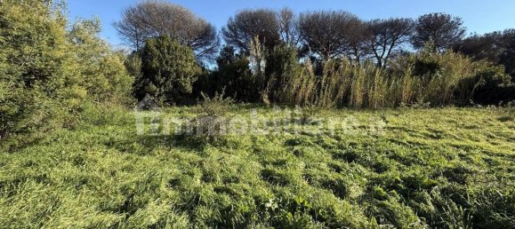 1486m² Land in Rome, Italy No. 173904 11