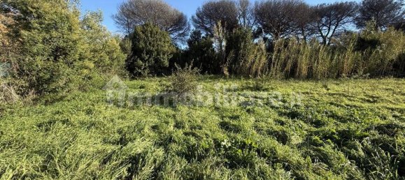 1486m² Land in Rome, Italy No. 173904 17