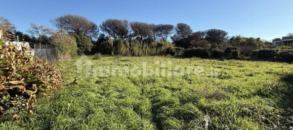 1486m² Land in Rome, Italy No. 173904 2