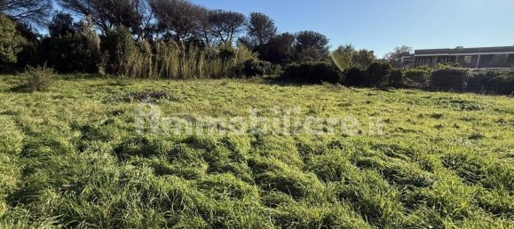 1486m² Land in Rome, Italy No. 173904 19