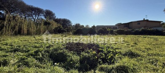 1486m² Land in Rome, Italy No. 173904 14