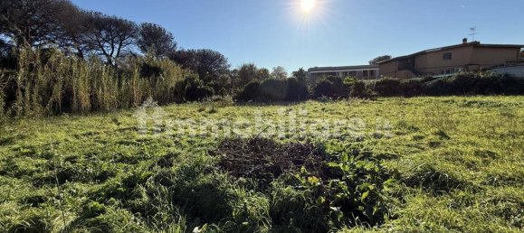 1486m² Land in Rome, Italy No. 173904 12