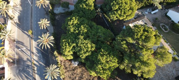  قطعة أرض في Cabo Roig, Spain 1091متر مربع رقم 533 2