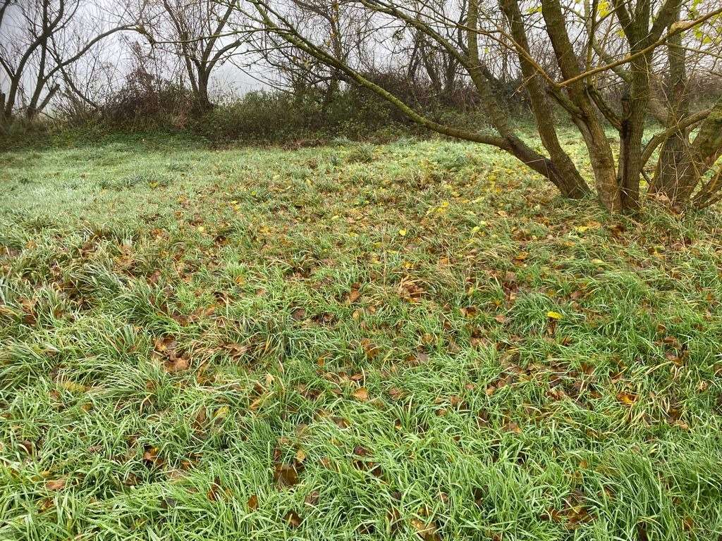  قطعة أرض في Cuxhaven, Germany رقم 172791