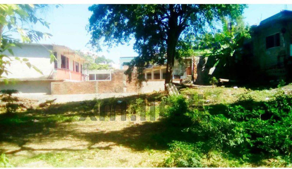  Land in Veracruz, Mexico No. 206734