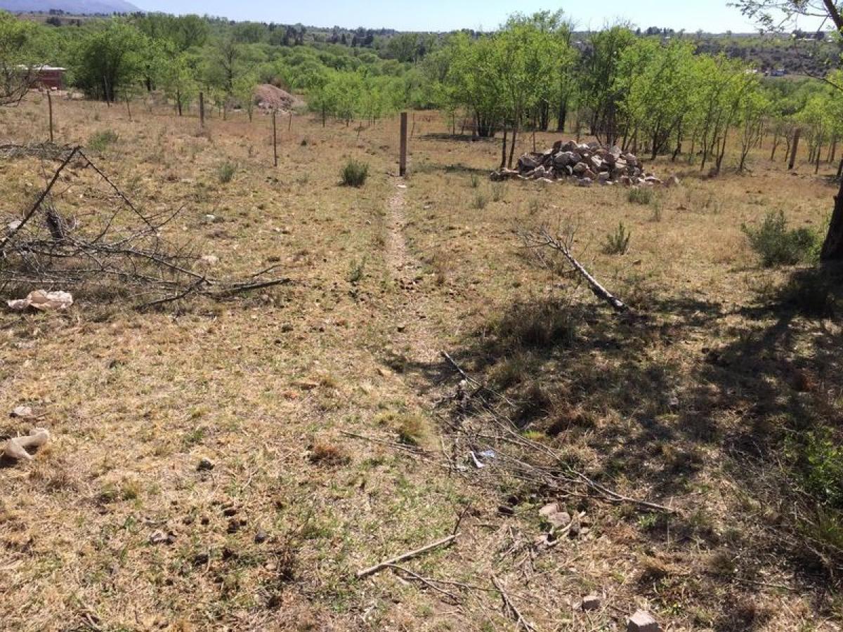  Land in Cordoba, Argentina No. 41357