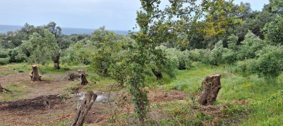 Земельный участок 7000м² в Керкира, Греция № 93226 10