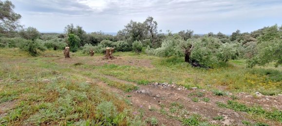 Земельный участок 7000м² в Керкира, Греция № 93226 5